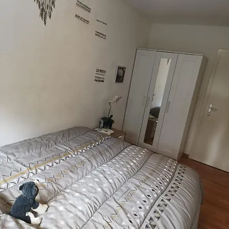 Habitacion En Piso Compartido Homestay